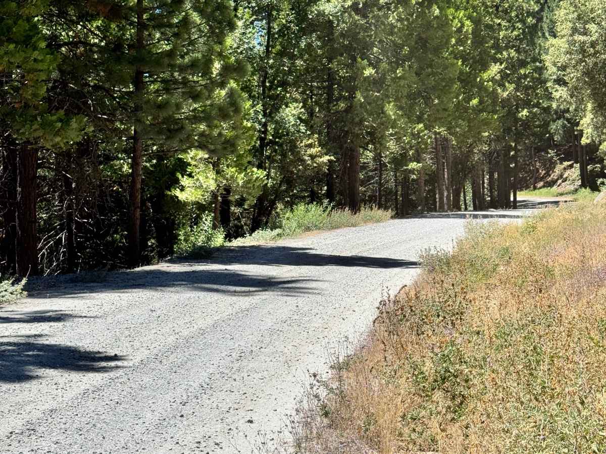 Hells Half Acre Road - FS 5N95 photo 2