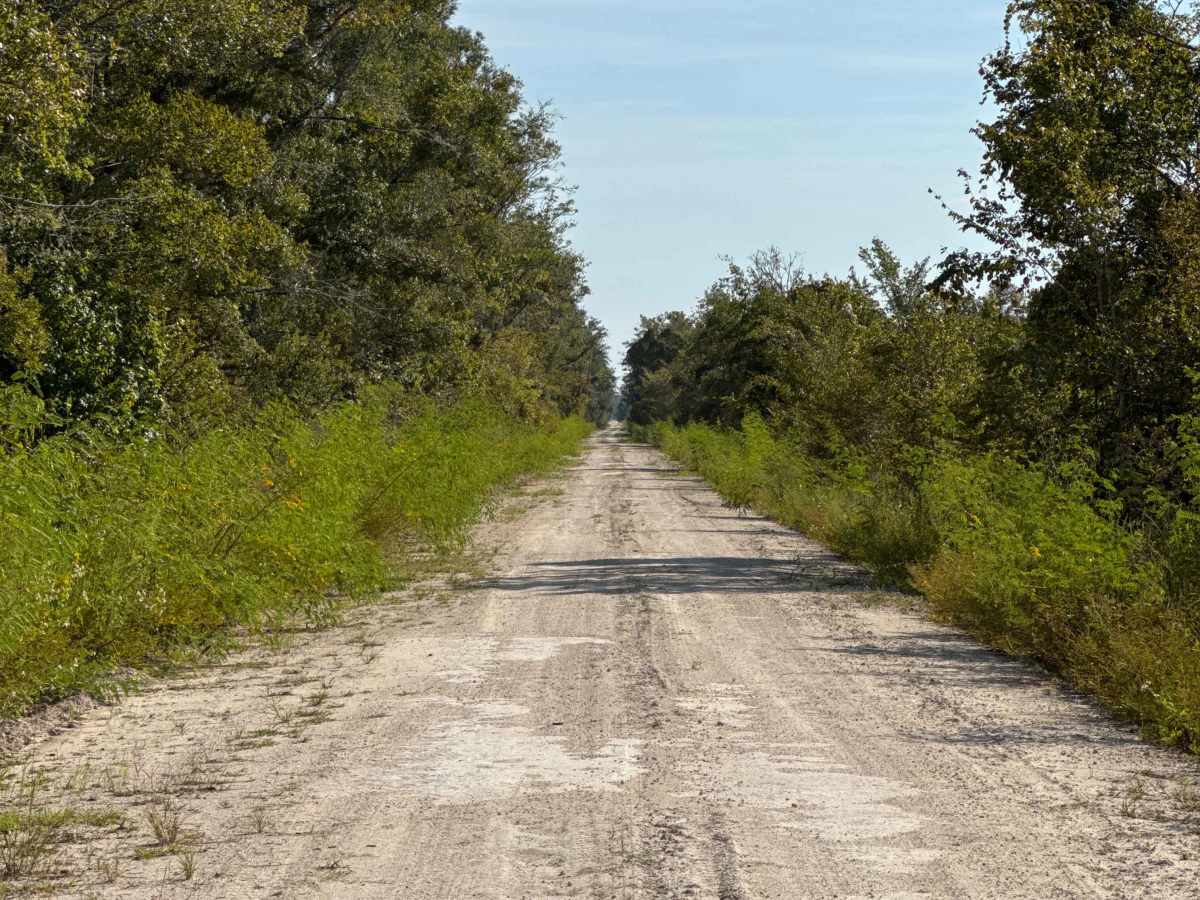 South Canal Road photo 4
