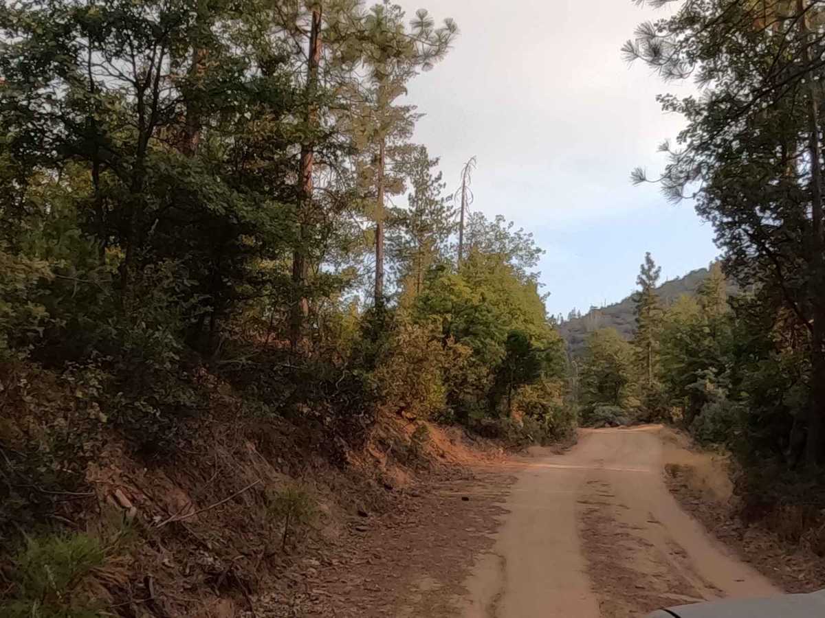 Annex Sale - FS 7S062Y trail photo