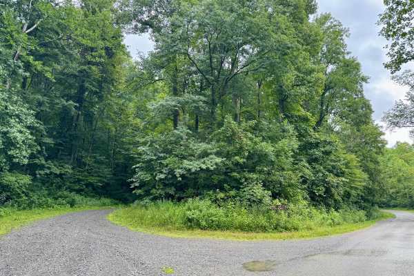 White Oak Road - FS 133
