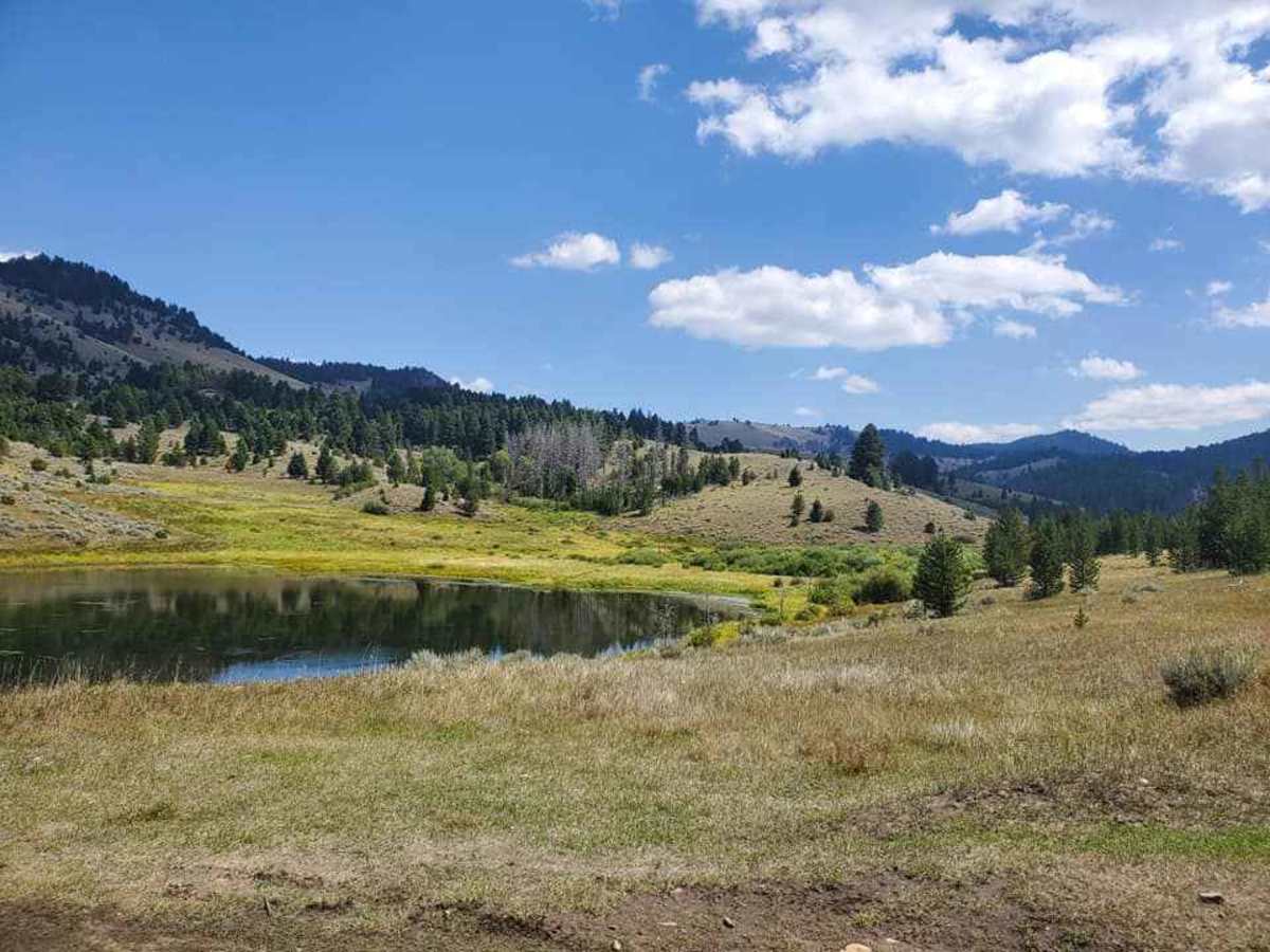 German Gulch trail photo