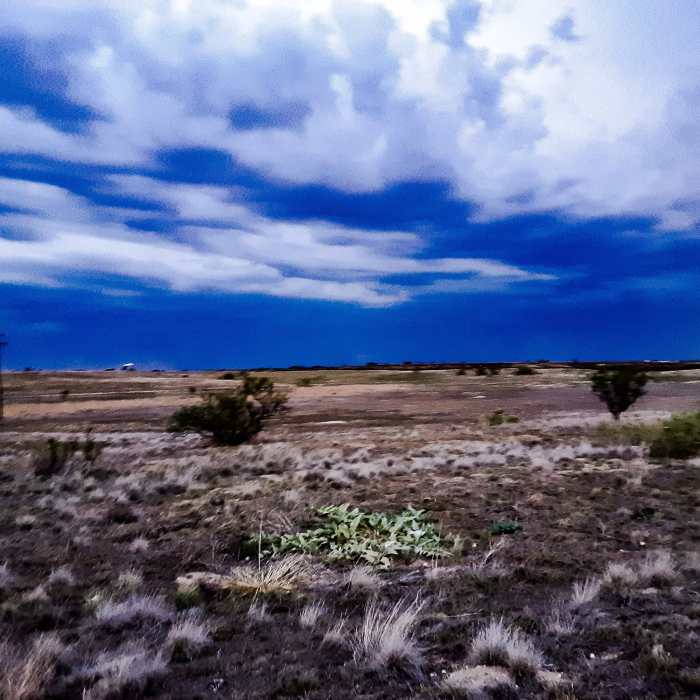 Near Lubbock Lake Landmark