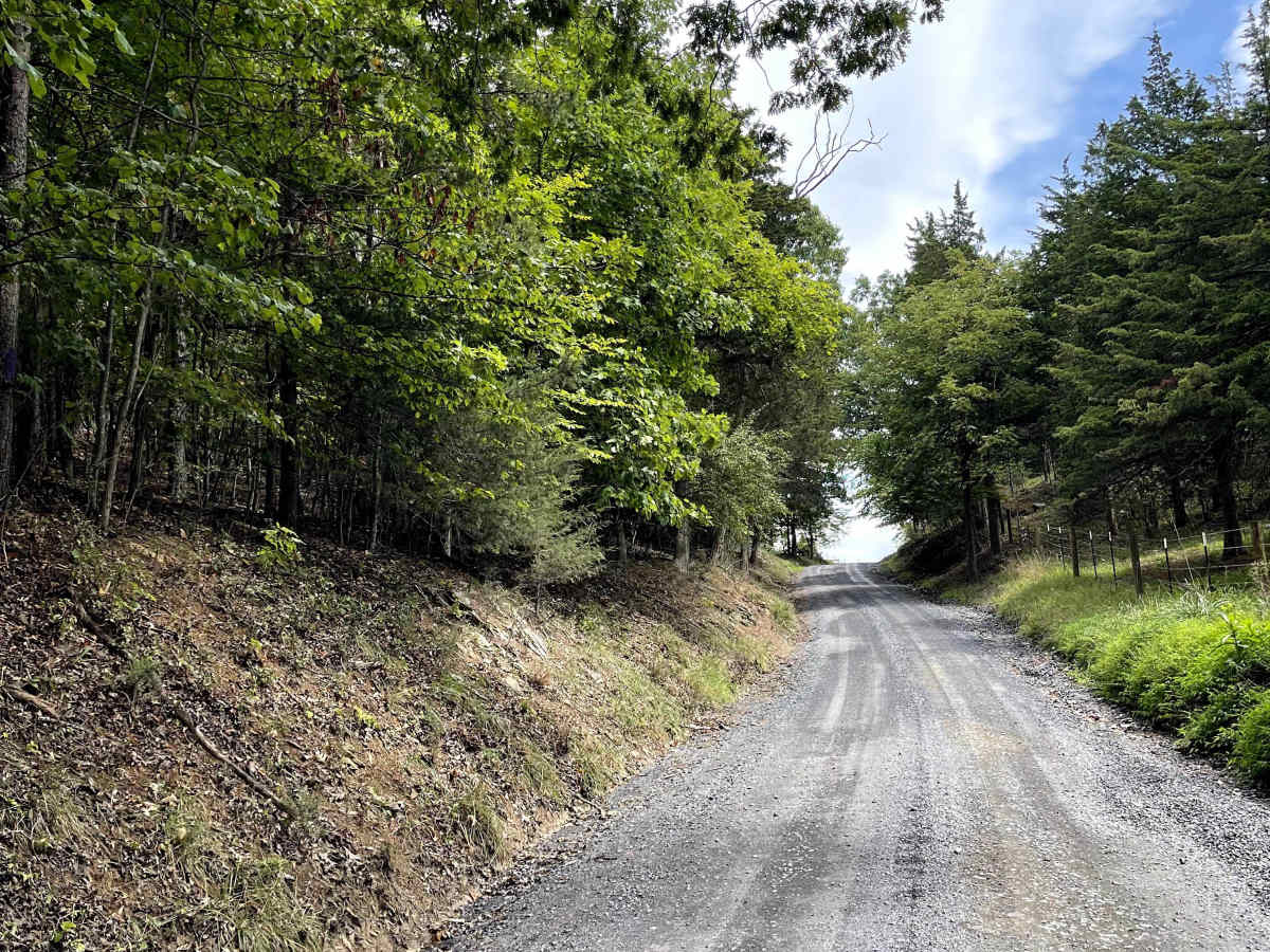 Fredericksburg Road photo 3