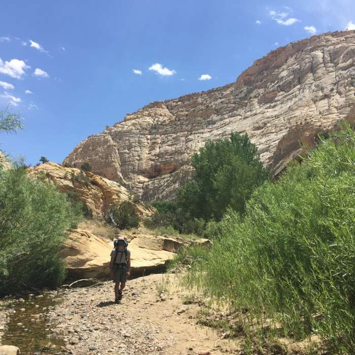Near Escalante River: Mamie Creek to Boulder Mail Trail