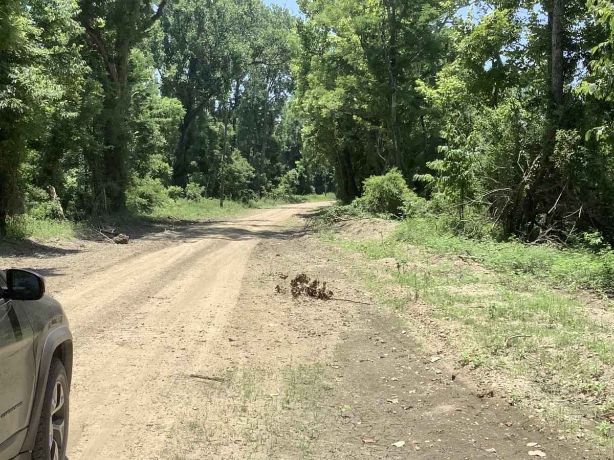 Cat Island River Trail photo 6