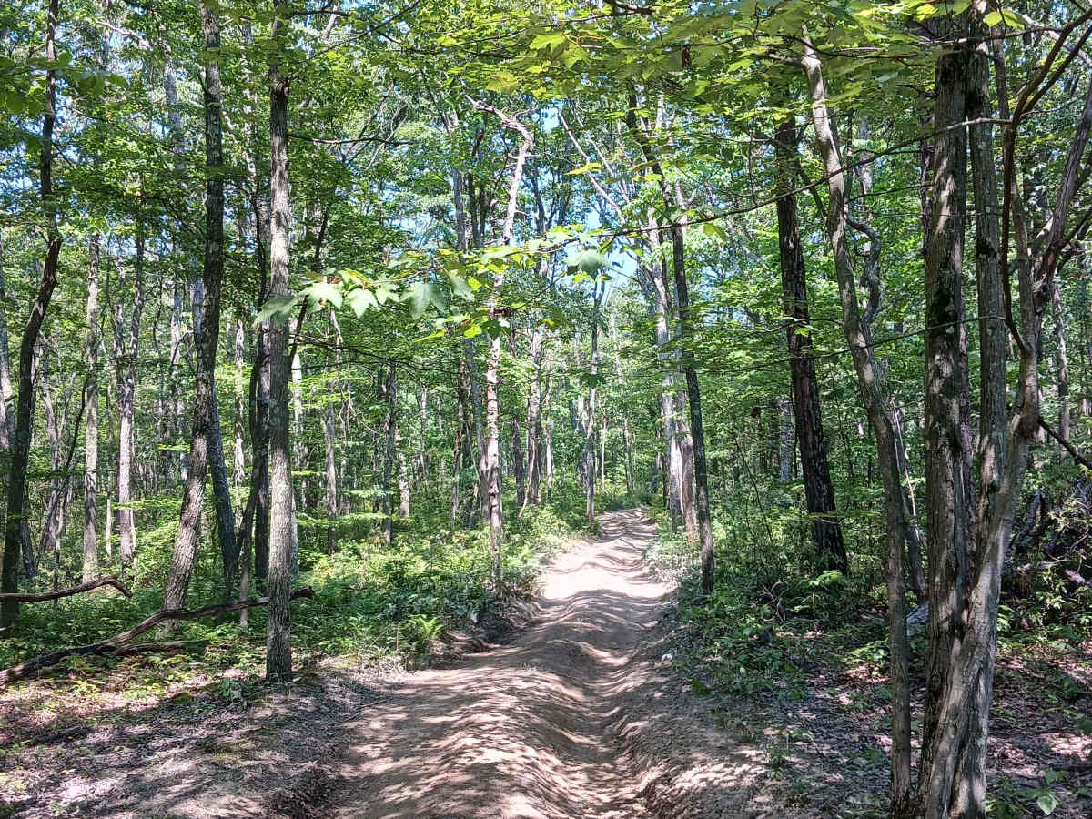 Fern Way - Rock Run Recreation Area photo 4