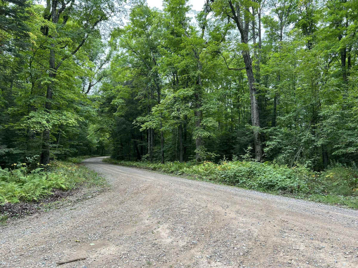 Experimental Road - FS 2184 trail photo