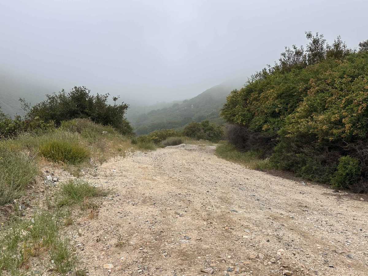 Wagon Track Trail photo 2