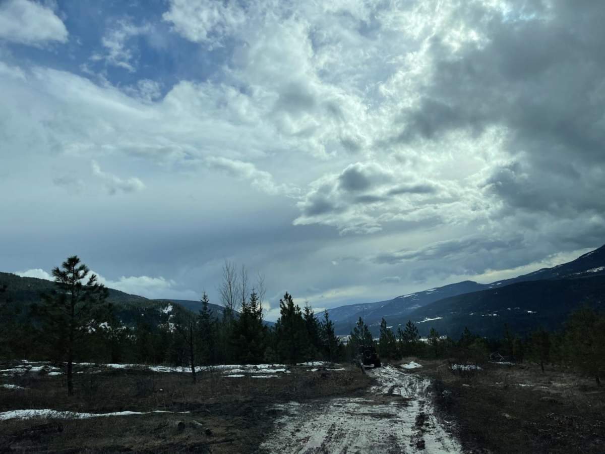 Mt. Ida Lookout trail photo