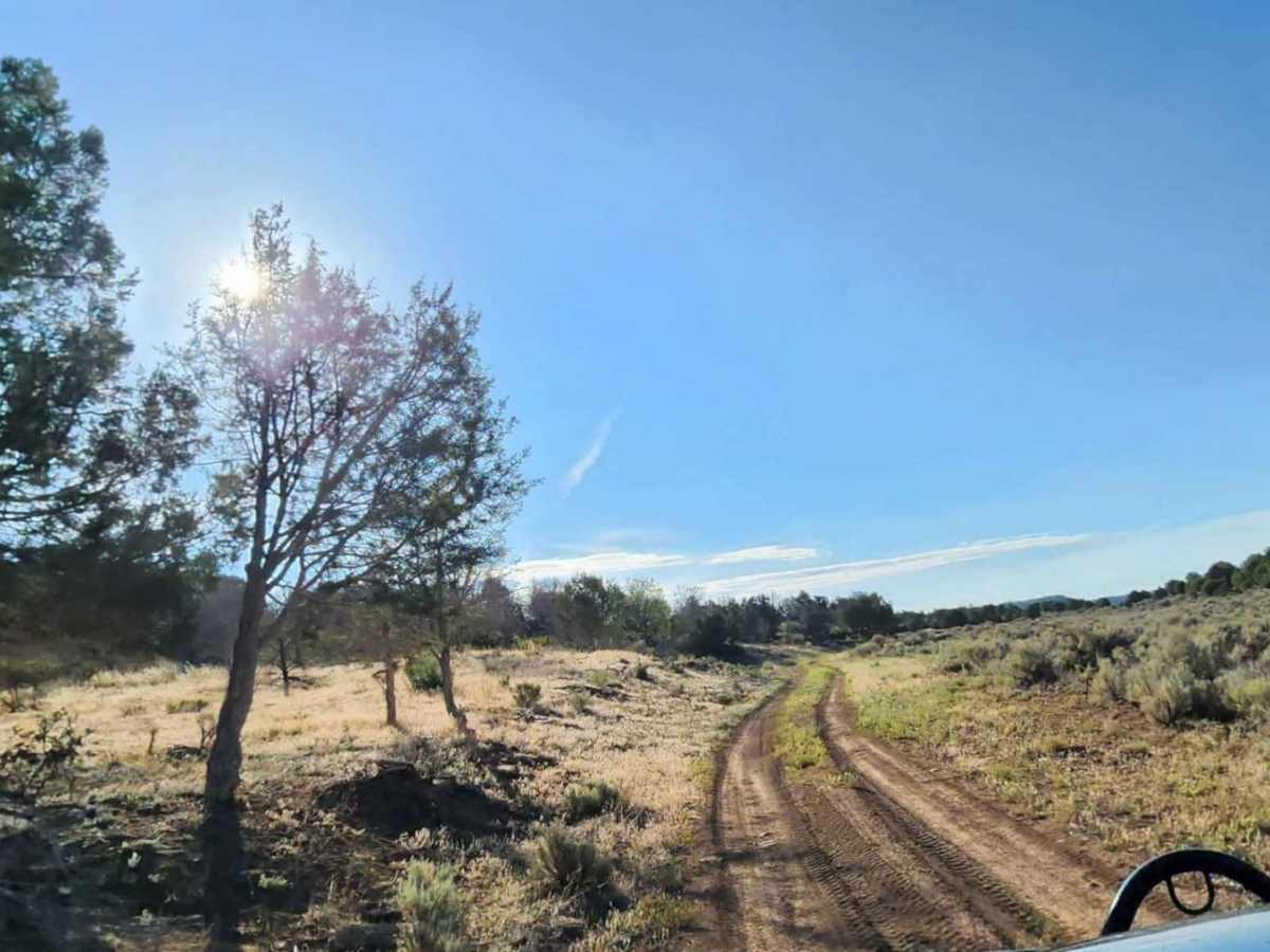 Beaver Rim Road trail photo
