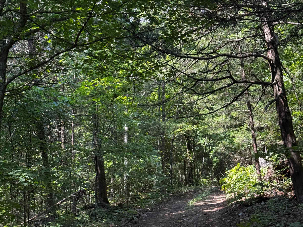 Heinke Hills  photo 3