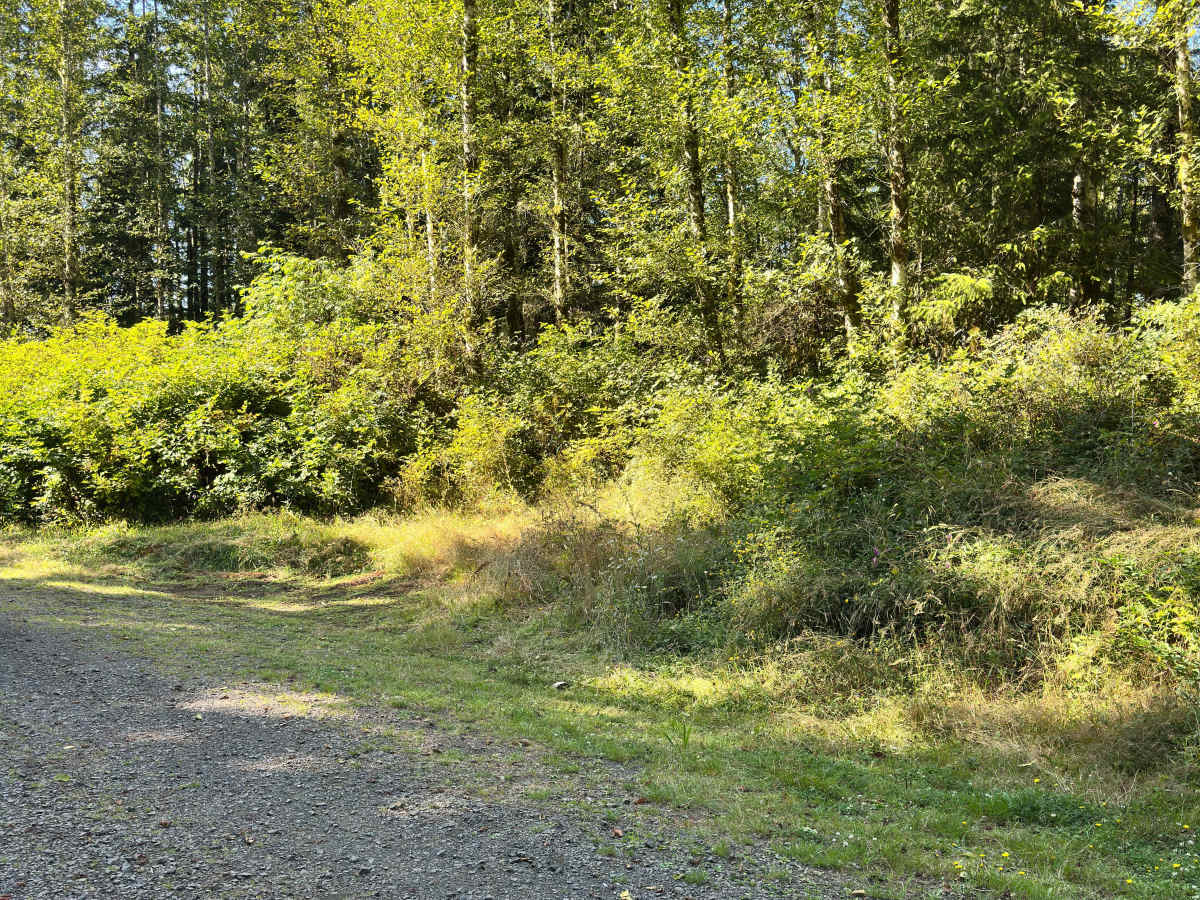 Wildcat Ridge photo 5