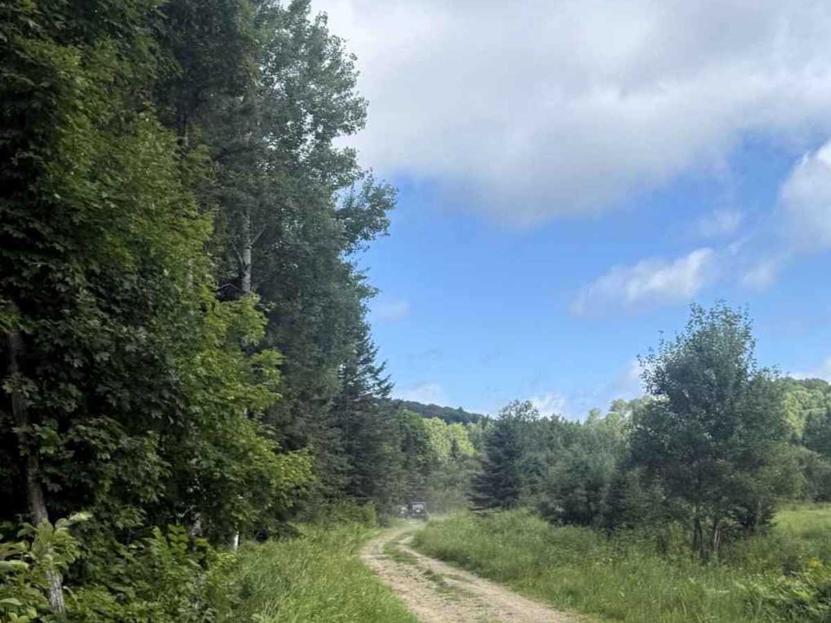 Eagle Mine trail photo