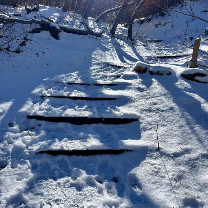 Near Coyote Gulch and Creekbottom Loop