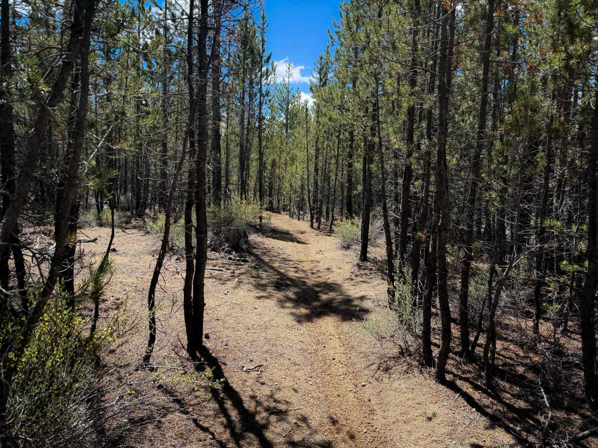 Trail 25  photo 3