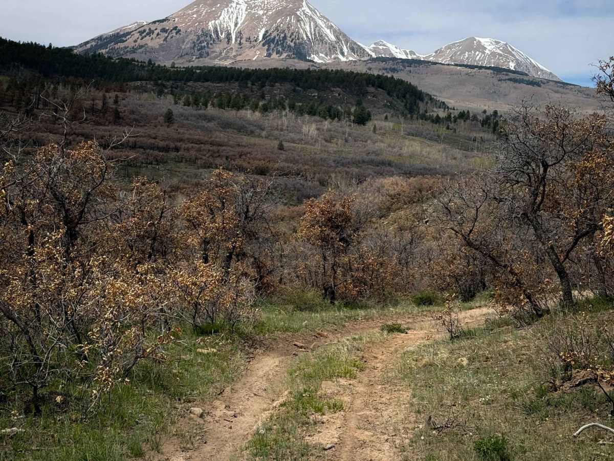 Lower 2 Mile Loop  trail photo
