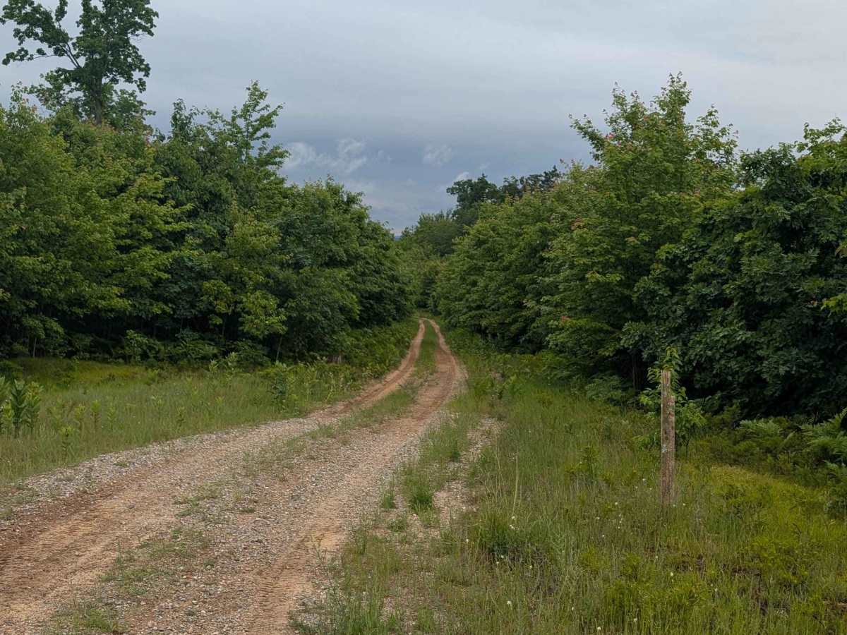 Geotsch trail photo
