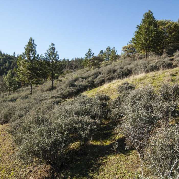 Near Panorama Point via Oregon Trail