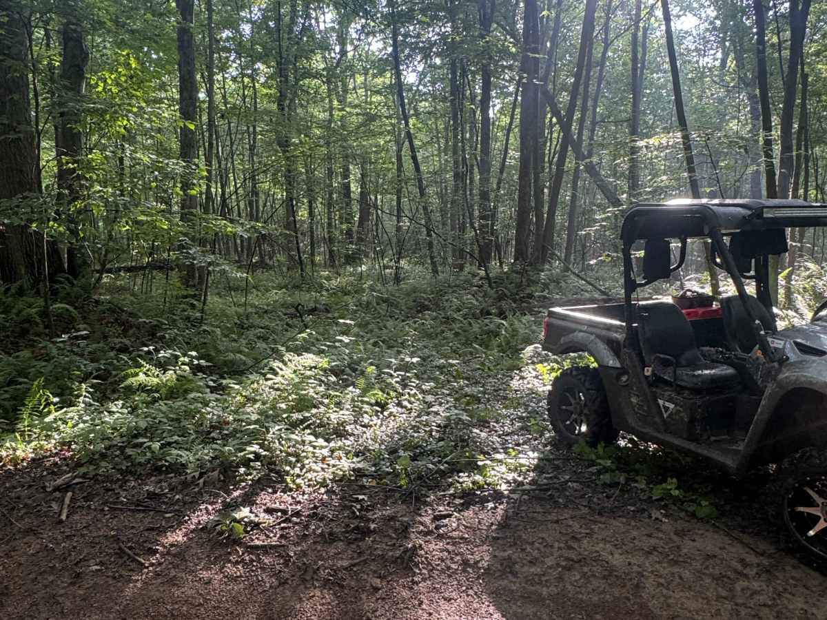 Trail 51 photo 6