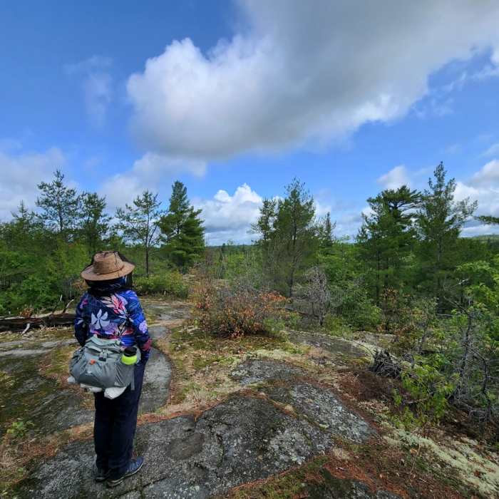 Near Snowbank Trail