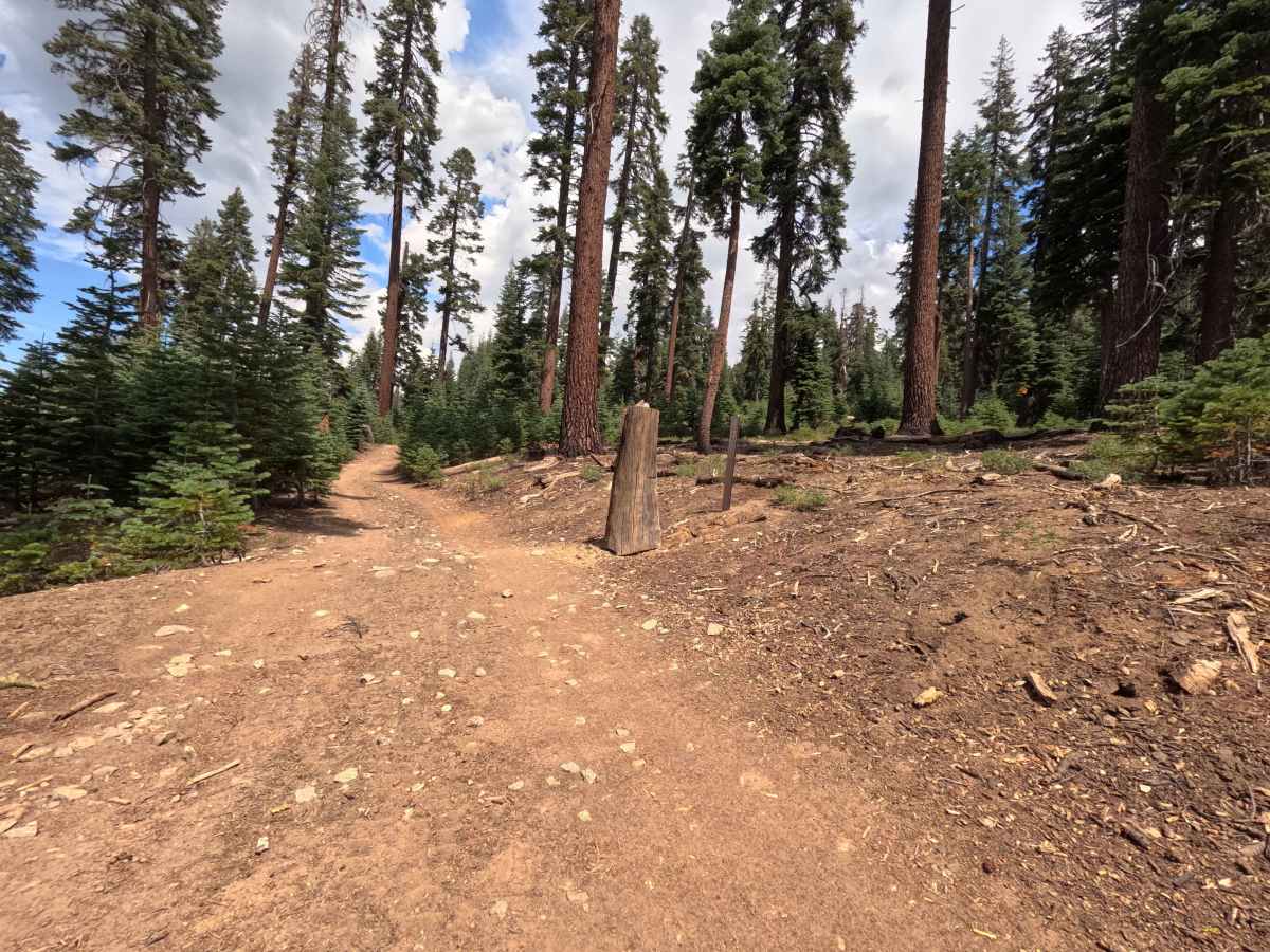 Prospect Mine - FS 5S040X trail photo