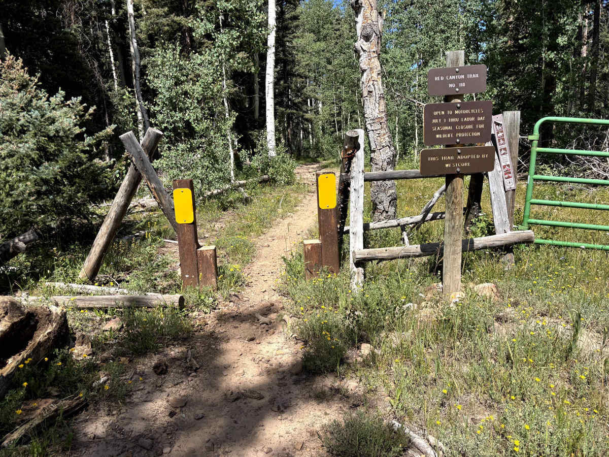 Red Canyon Trail trail photo