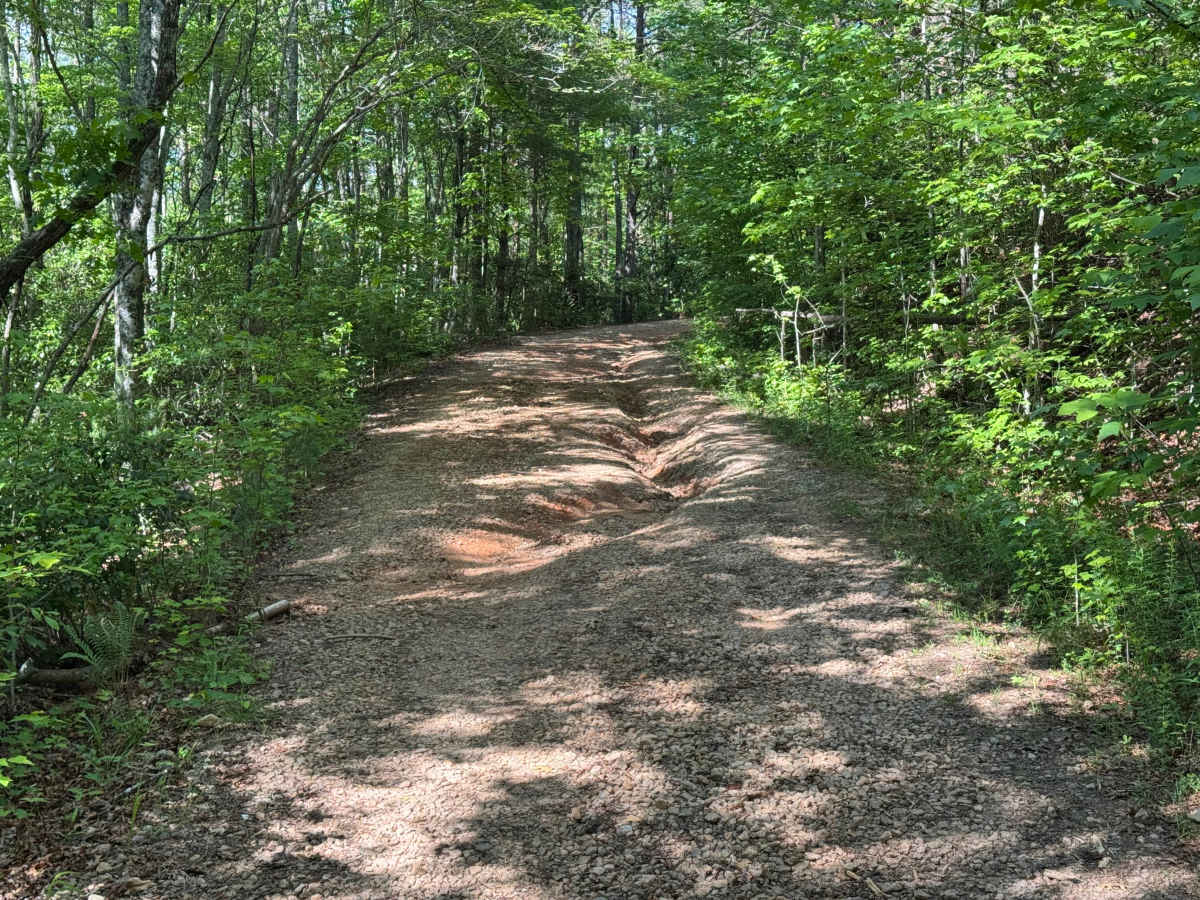 East Cane Creek - FS 243 photo 4