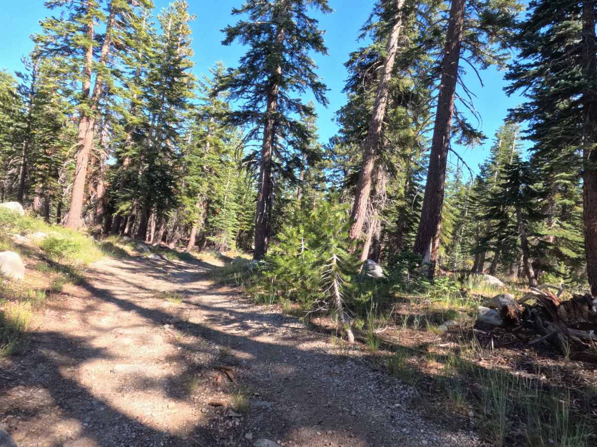 Forestdale Loop Road - FS 31013A photo 5