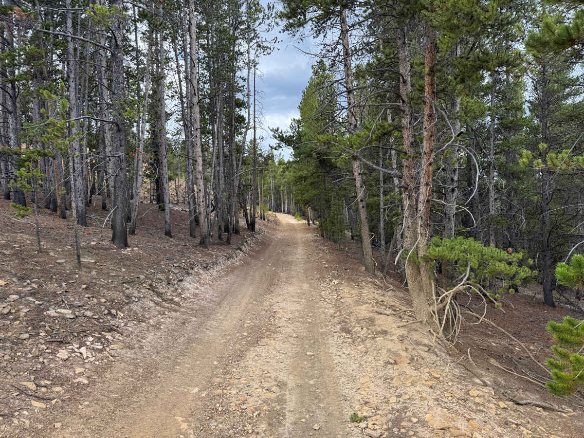 Mineral Belt Road photo 5