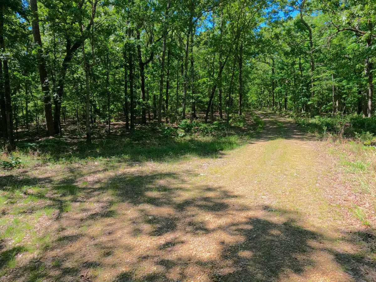Bluegrass - FS 3528 photo 4