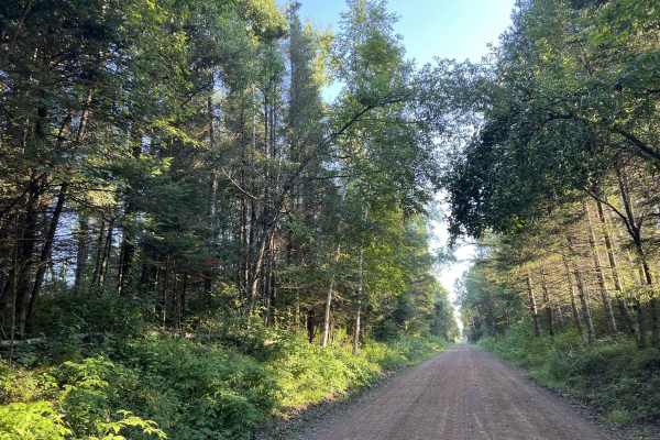 Nicolet State Trail - Long Lake