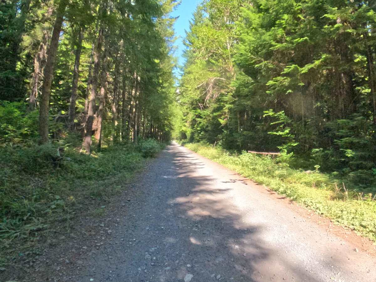Pamelia Creek - FS 2246000  photo 3