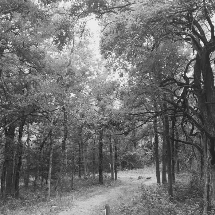 This is what to expect near the Armadillo Hill Trailhead. Near Eisenhower State Park Loop