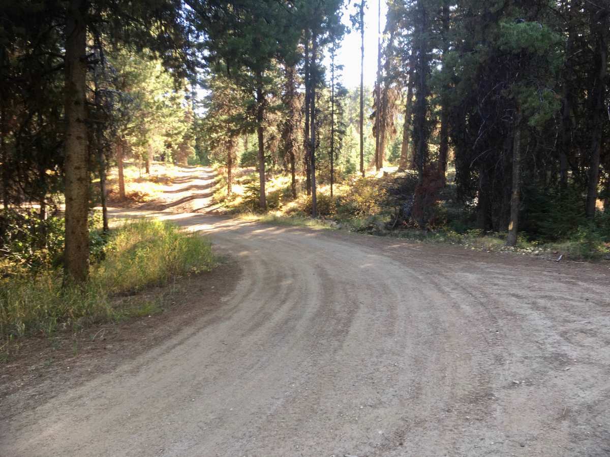 Reynolds Ridge Road - FS 5770 photo 5