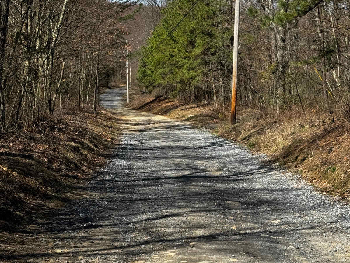 McClosky Road photo 3