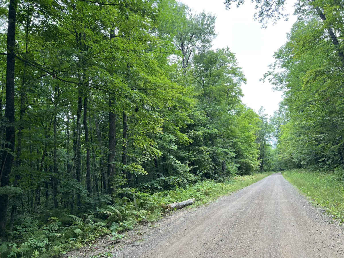 Experimental Road - FS 2184 photo 5