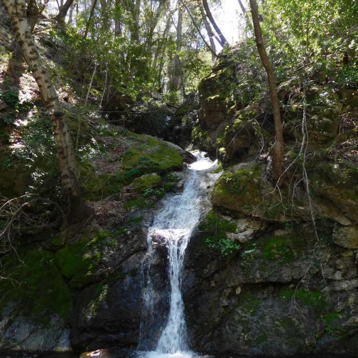Near Mt. Wilson - West Fork Loop