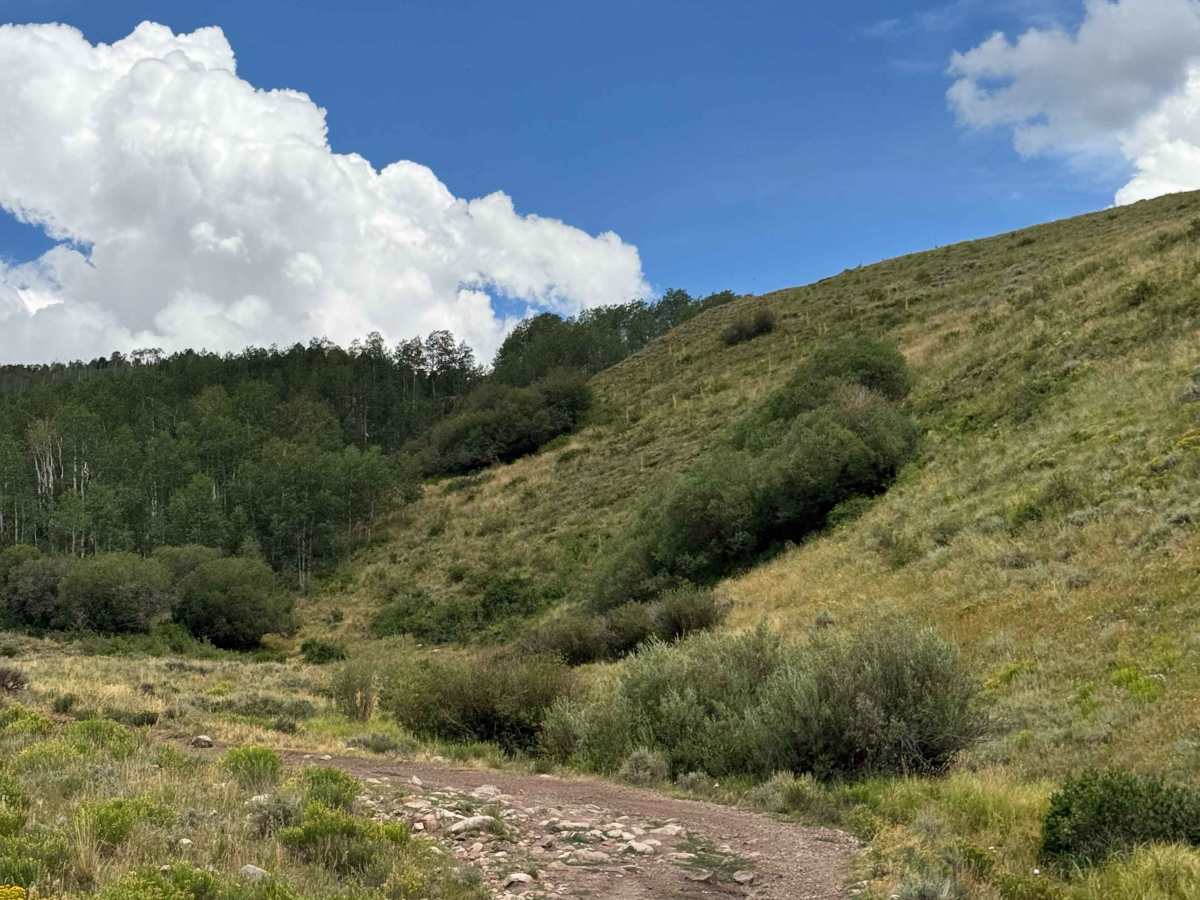 Ferris Creek photo 4