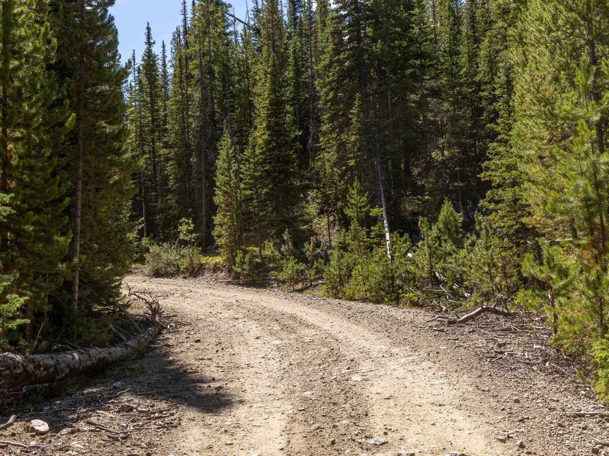 Williams Peak Road photo 6