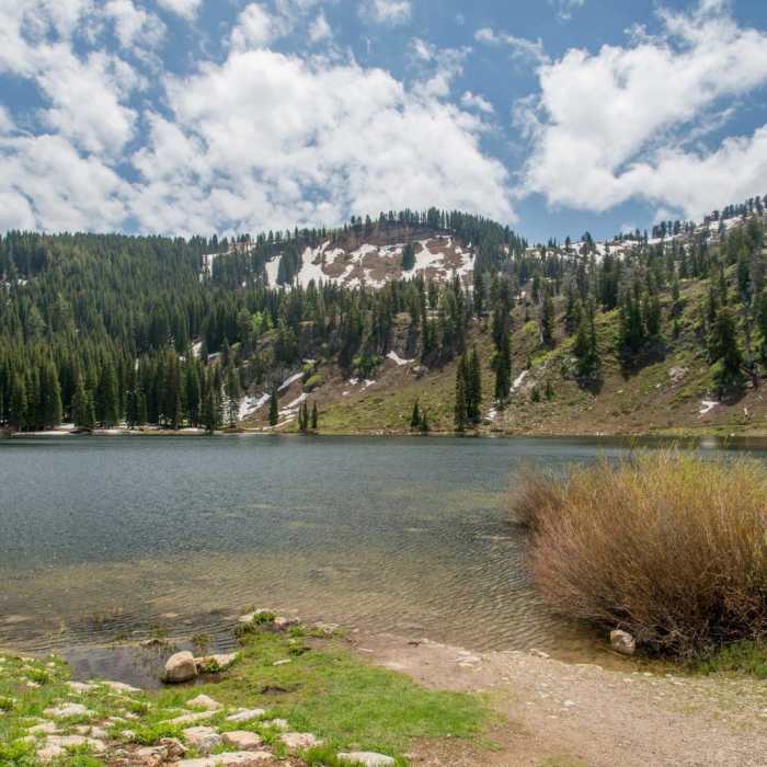 Near Tony Grove Lake Nature Trail