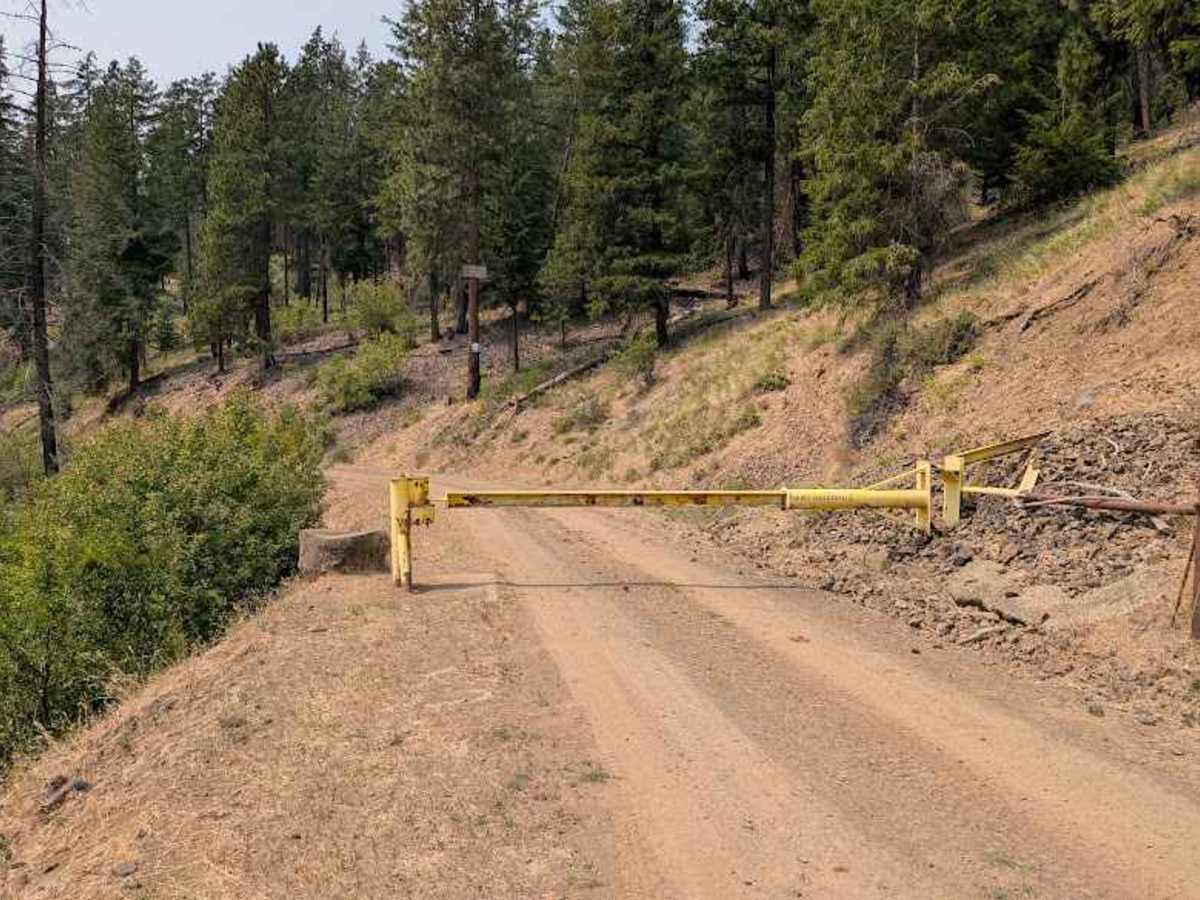 Naneum Basin Road photo 2