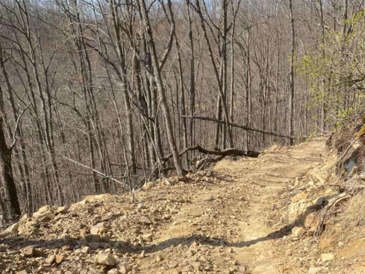 Cedgap Trail photo 5