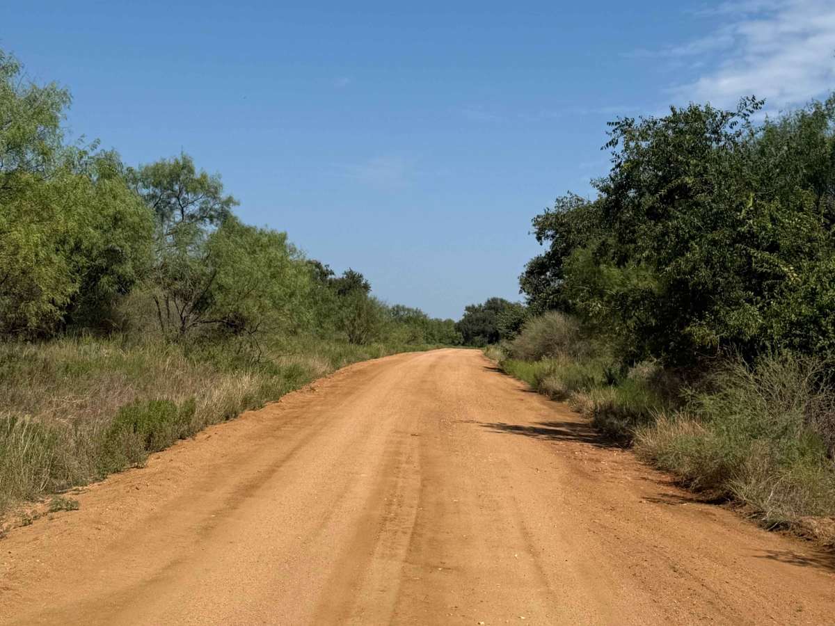 County Road 414 photo 3