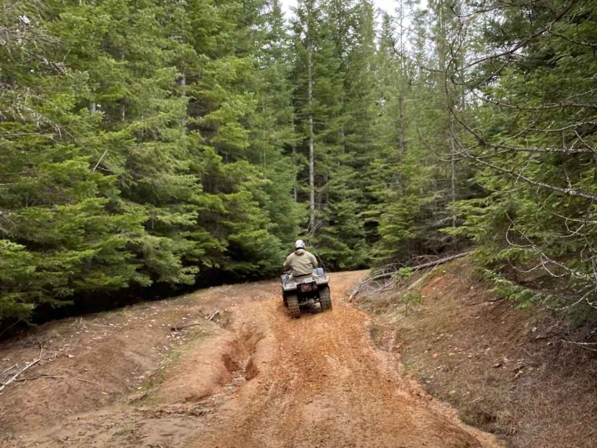 Little Sand Mountain photo 4