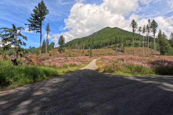 Clearwater Creek Mainline