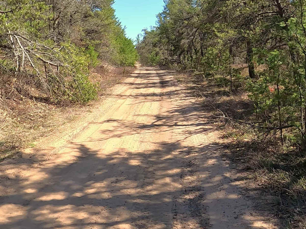 Brainard Springs - FS 4461 photo 2
