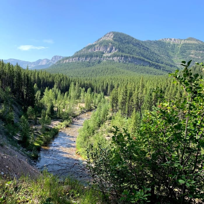 Near Trilobite Range Lollipop Loop