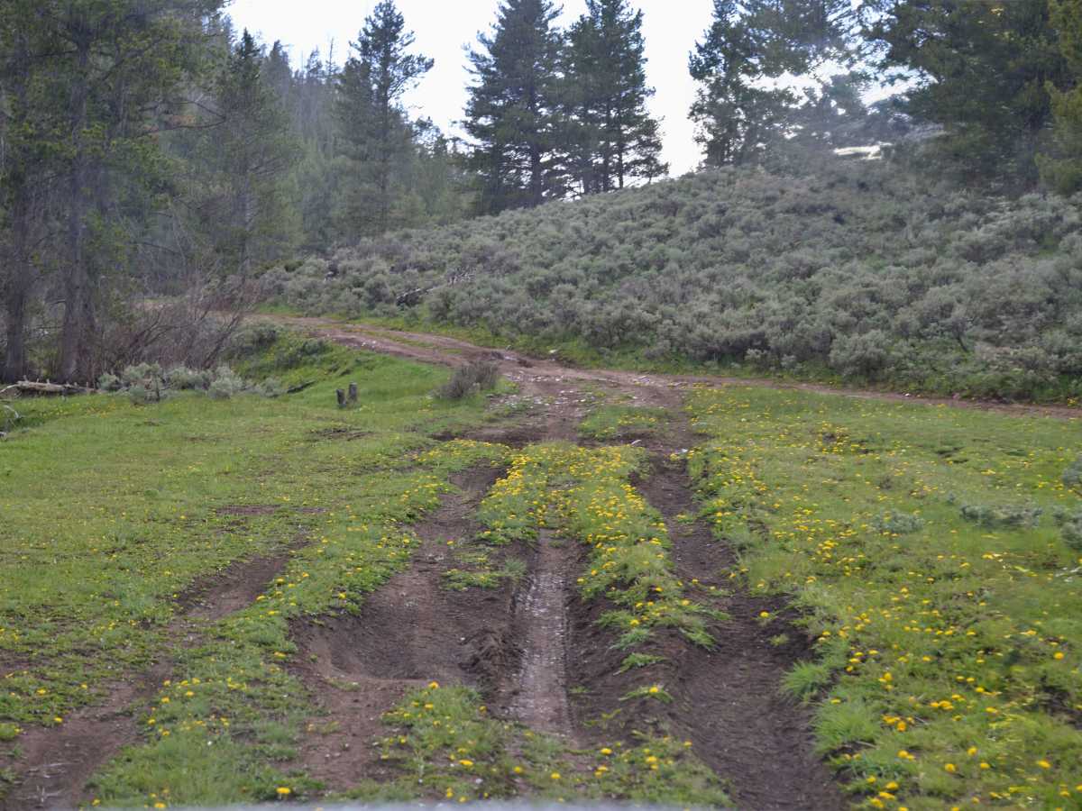 Pothole - FS 10256 trail photo
