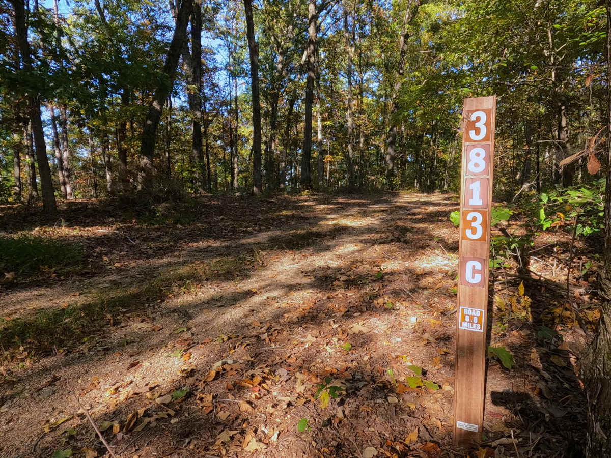 Prospect C - FS 3813C trail photo