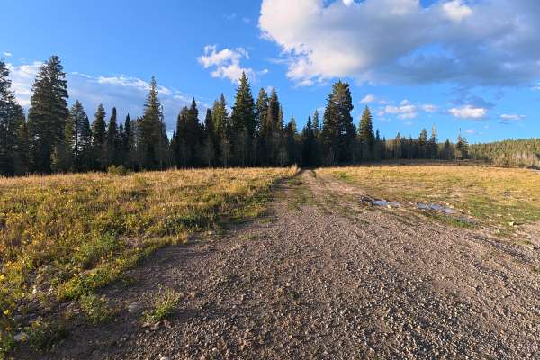 Elk Ridge Road - FS 248